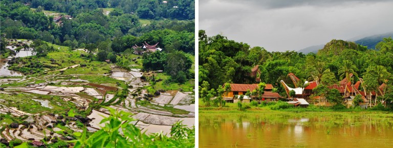 toraja (1)