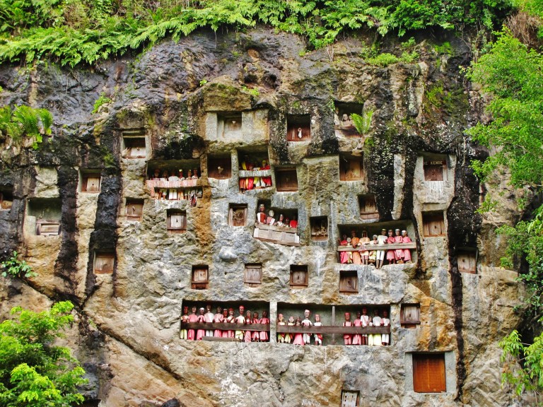 toraja (17)