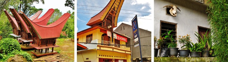 toraja (6)
