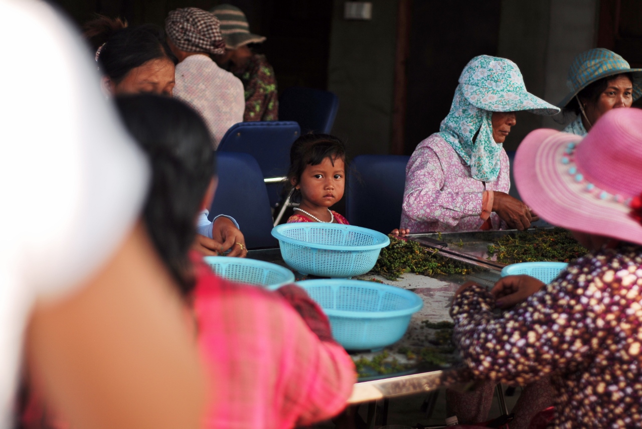 Criança à espera enquanto a sua mãe trabalha (1280x855)