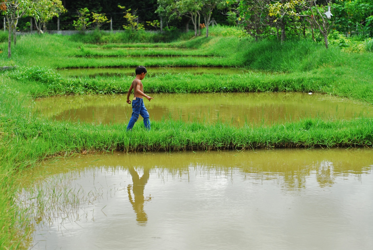 Crianças numa quinta de produção de peixe (2) (1280x857)