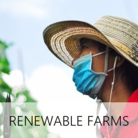 The impact of renewable energies on rural farms (with Sevea Consultancy)