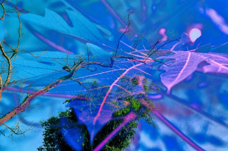 MJP_0548_hdr_mode_1 (1280x848)