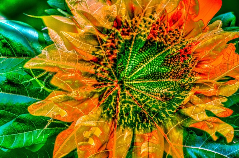 MJP_1038_hdr_mode_1 (1280x848)