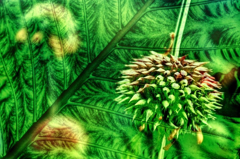 MJP_6364_sum_mode_1 (1280x848)