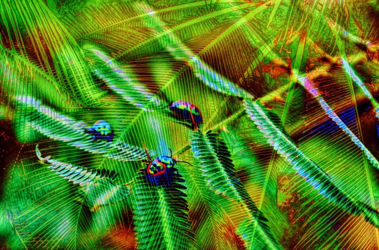 MJP_6372_sum_mode_1 (1280x848)