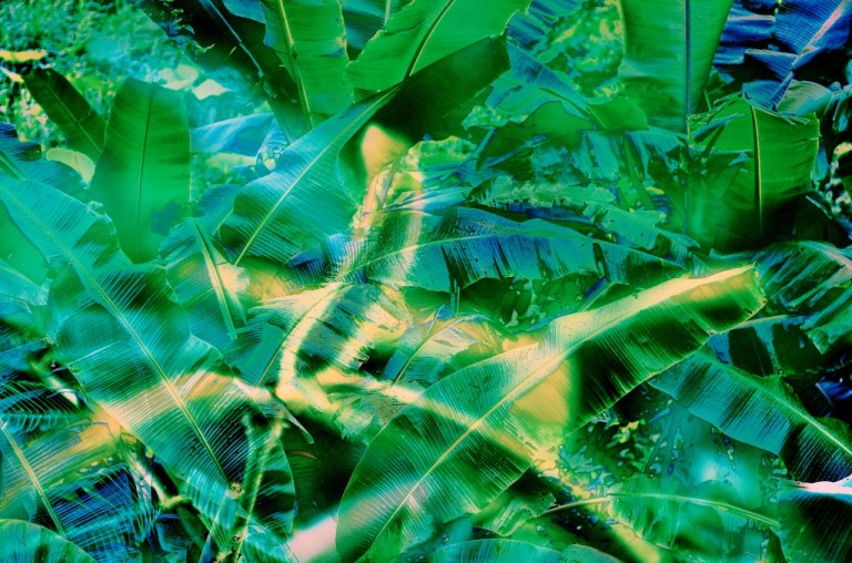 MJP_6377_hdr_mode_1 (1280x848)