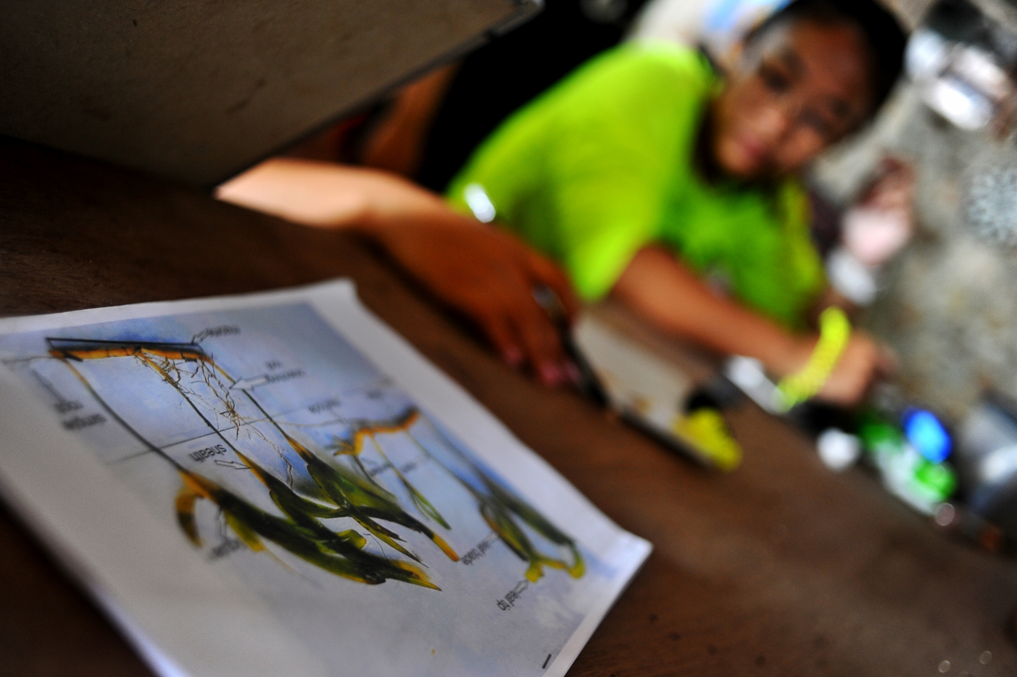 MJP_3415 (2000x1331)