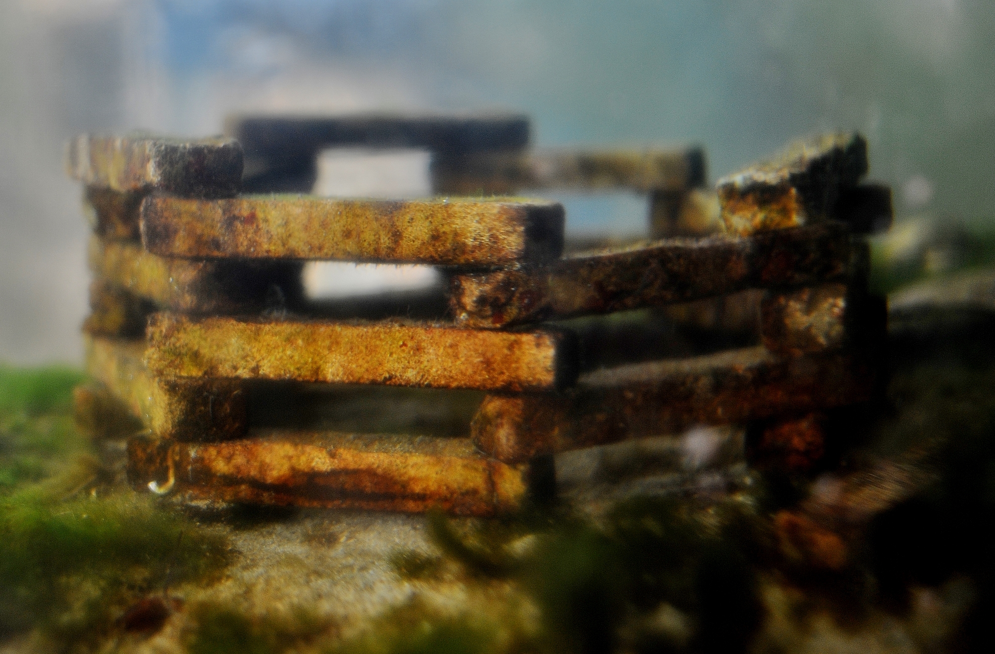 MJP_3417 (2000x1315)