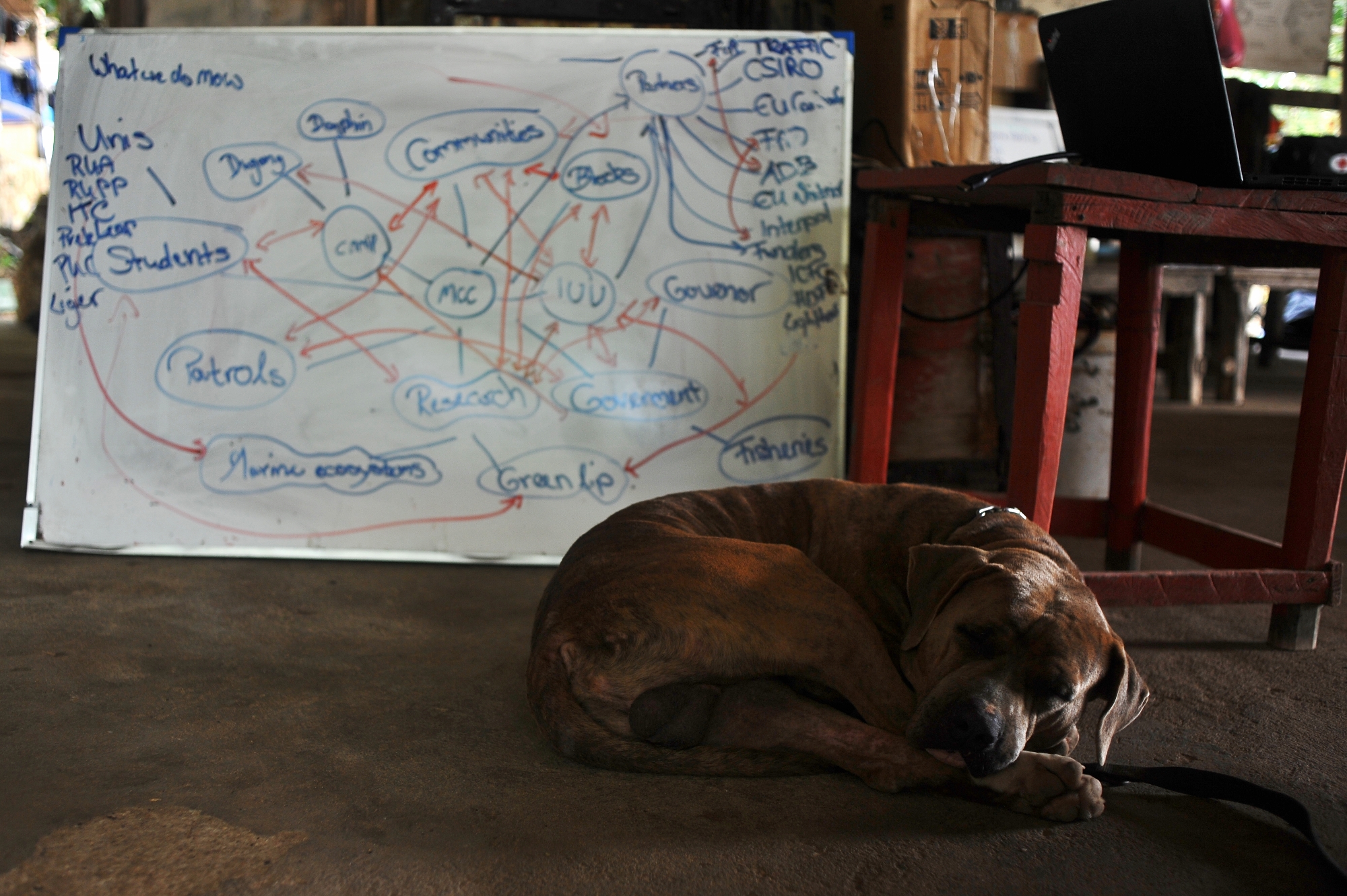 MJP_3437 (2000x1331)