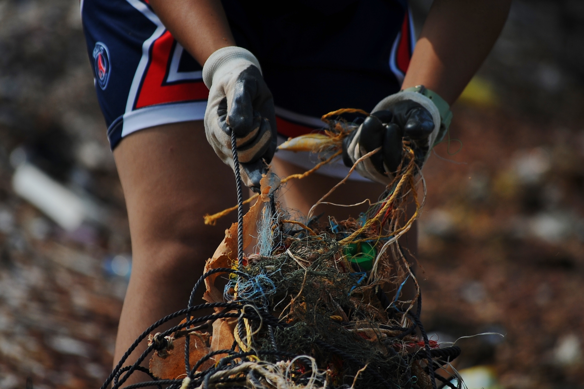 MJP_3490 (2000x1331)