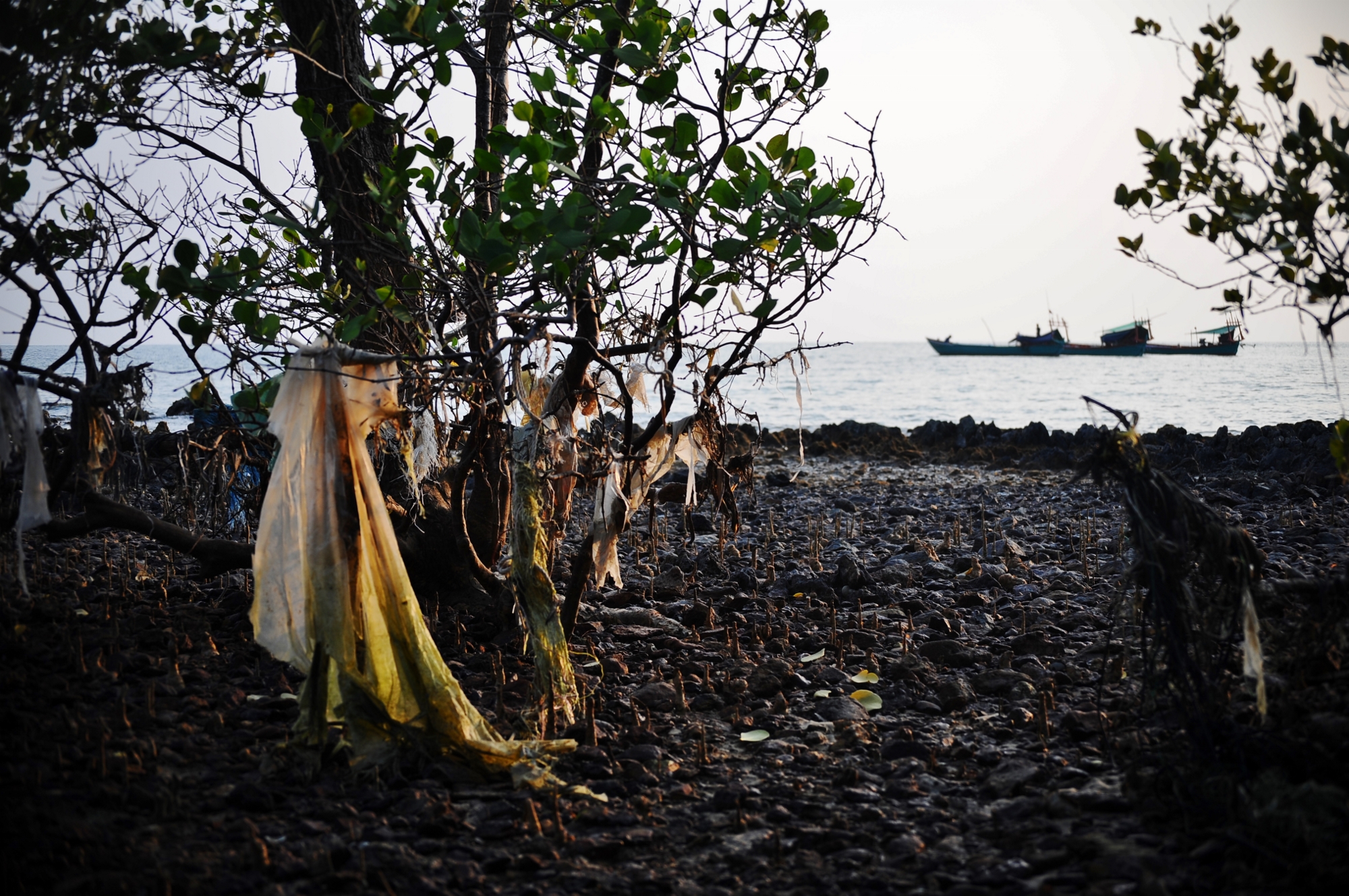 MJP_3611 (2000x1329)