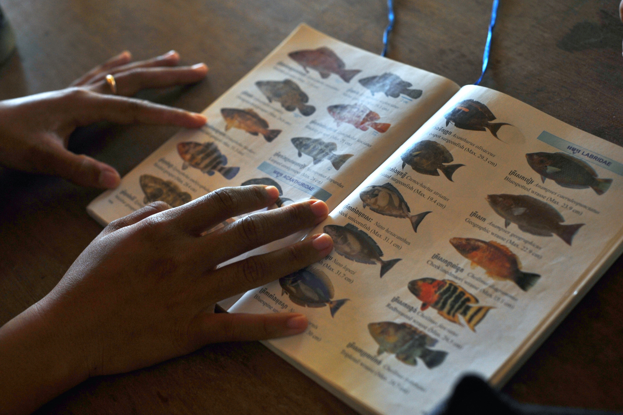 MJP_4164 (2000x1331)