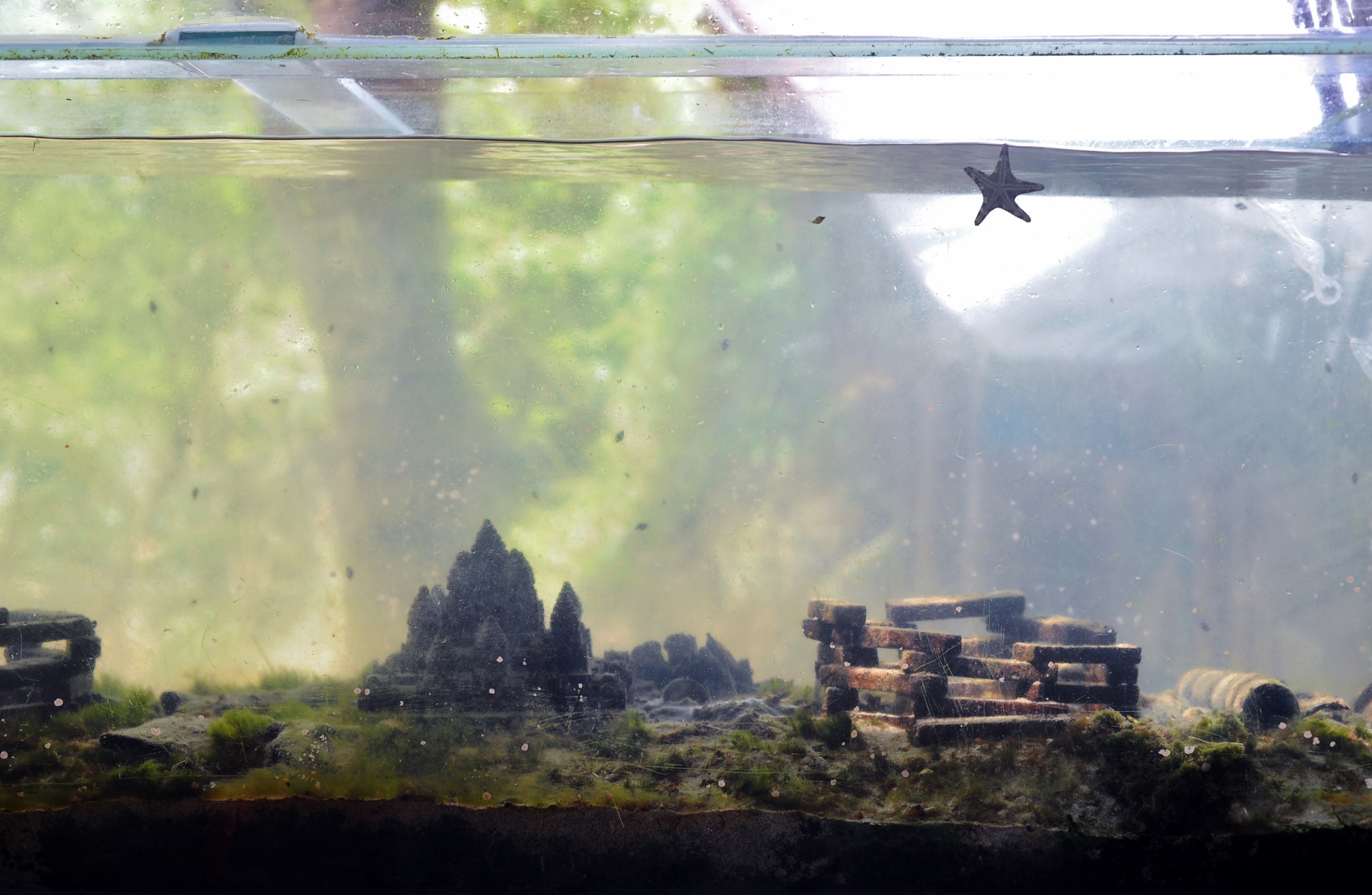 MJP_4165 (2000x1304)