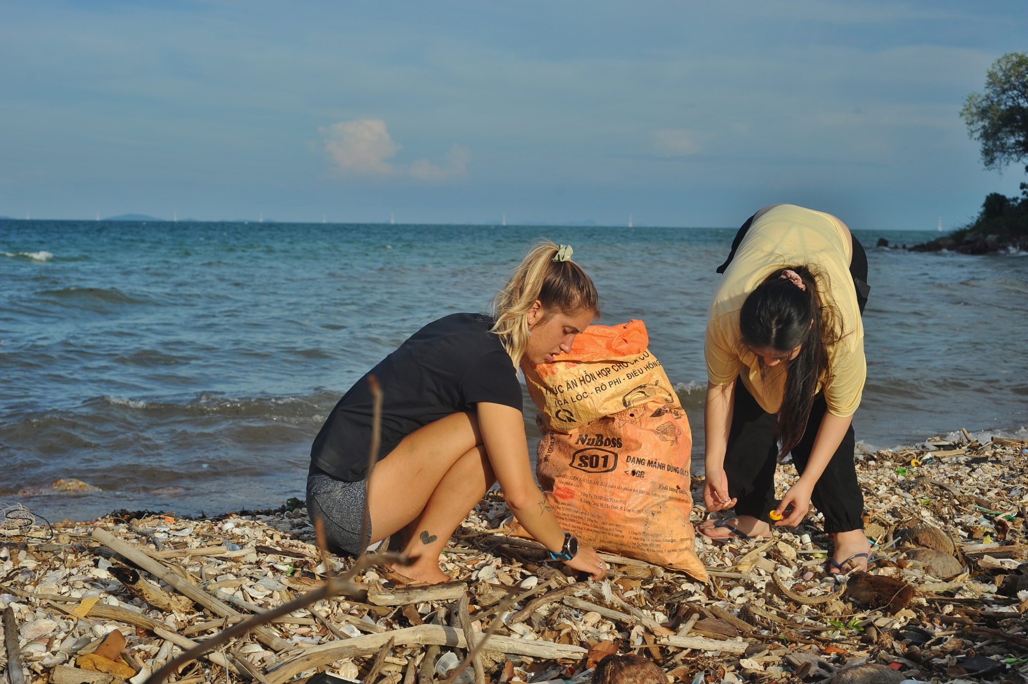 MJP_4369 (2000x1331)