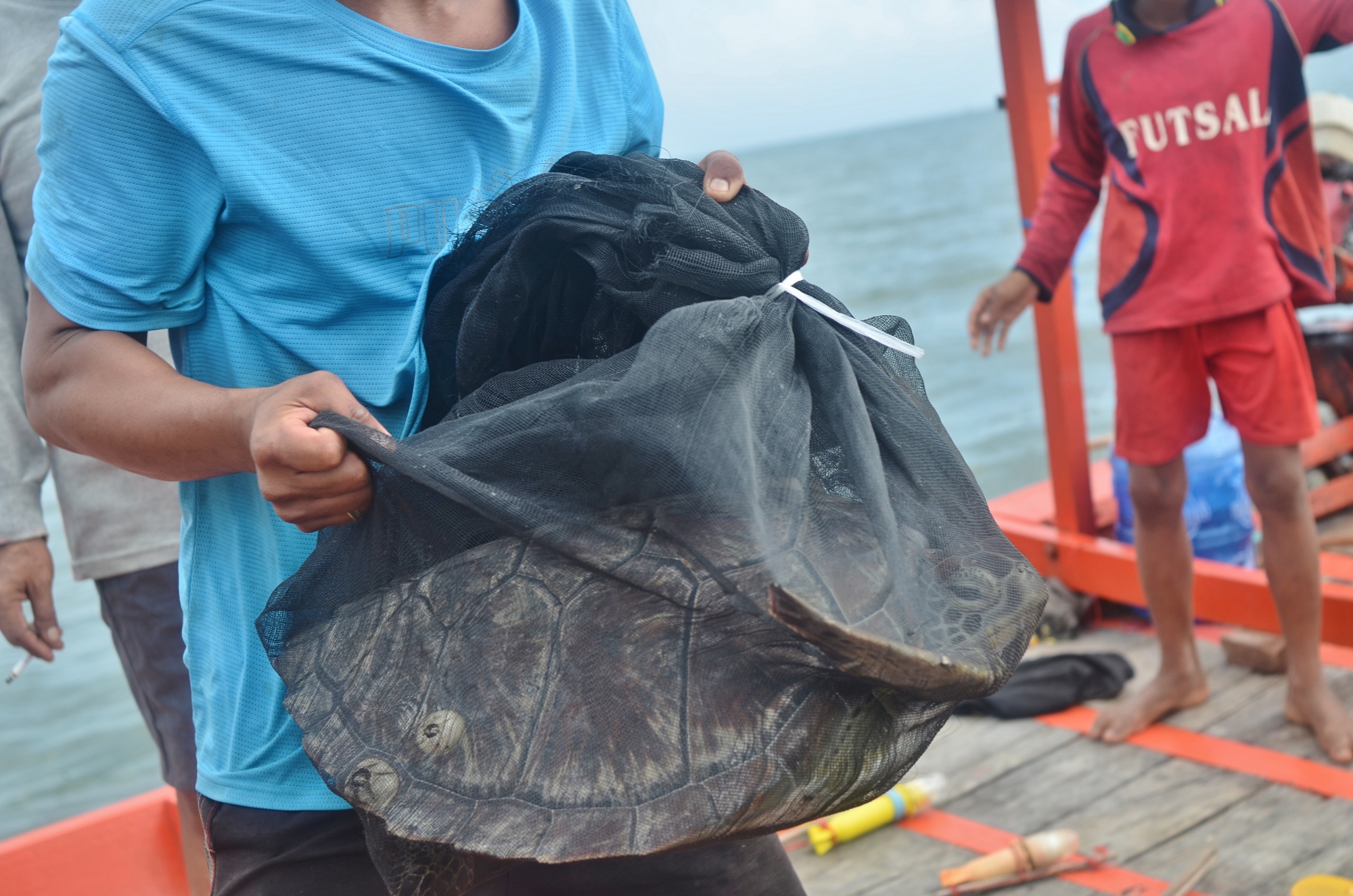 MJP_6698 (2000x1325)