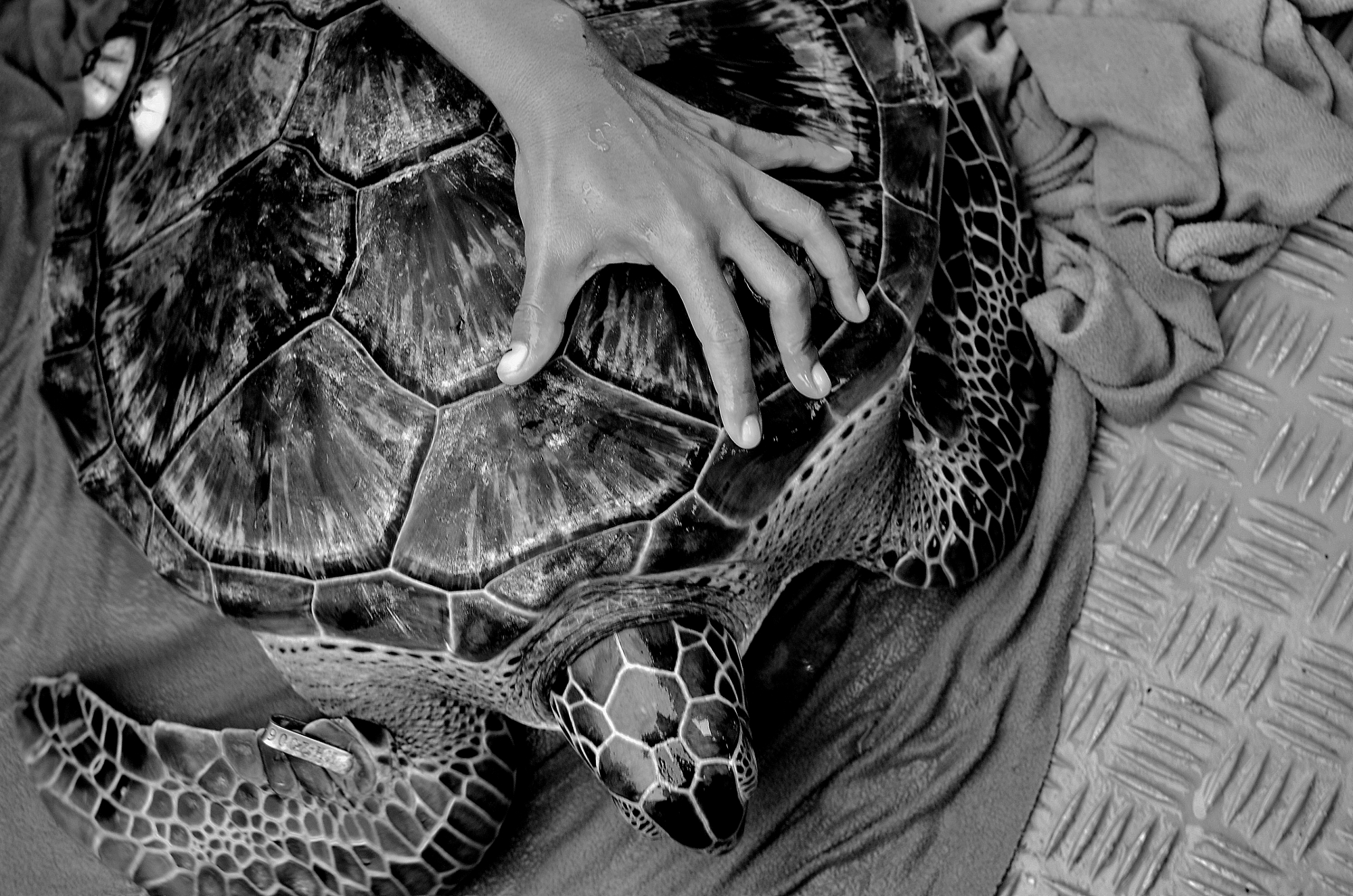 MJP_6717 (2000x1325)