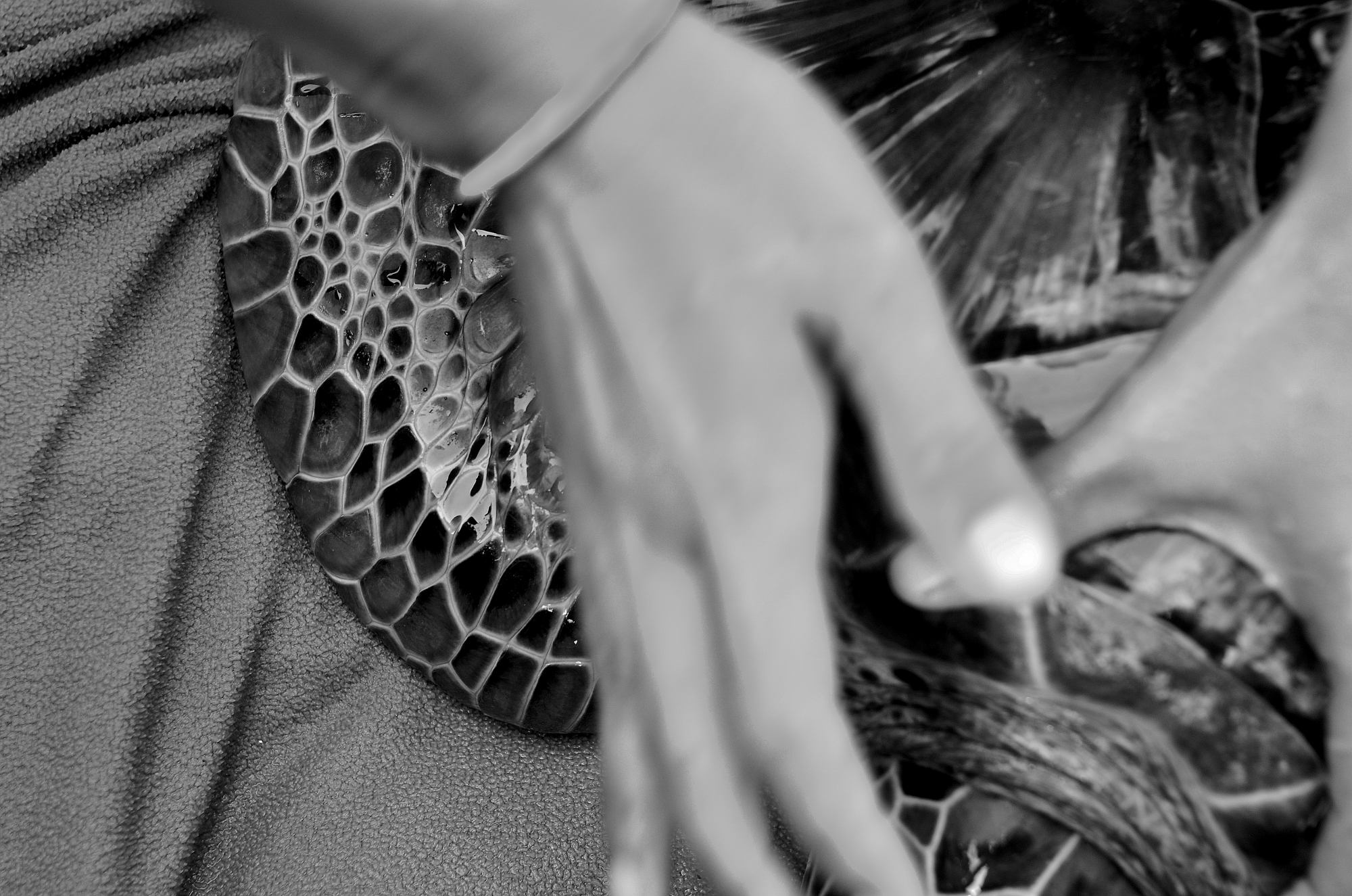 MJP_6721 (2000x1325)