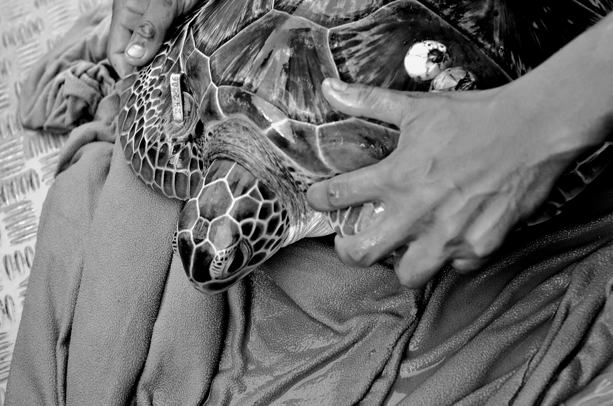 MJP_6724 (2000x1325)