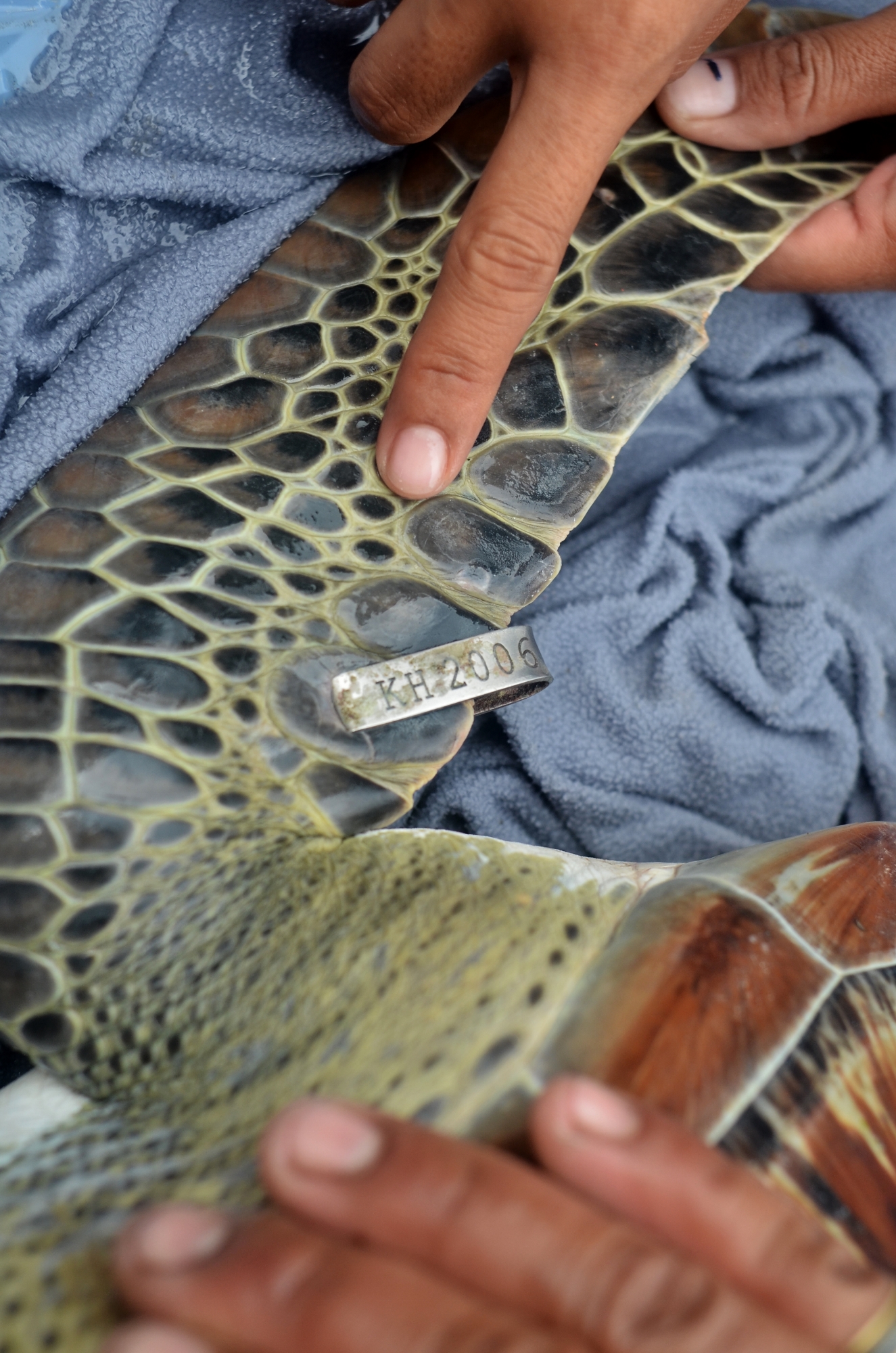 MJP_6731 (1325x2000)