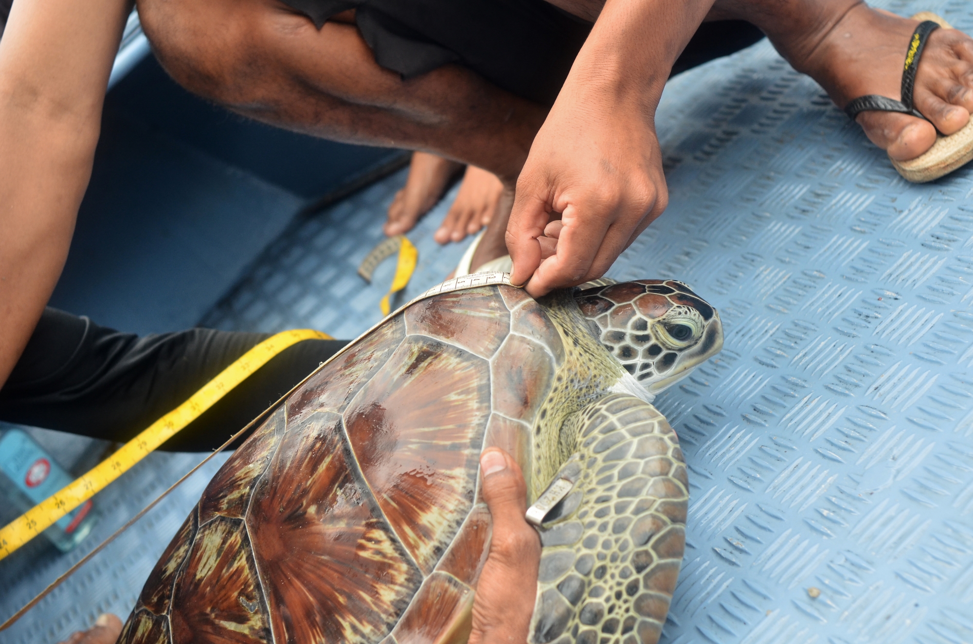 MJP_6764 (2000x1325)