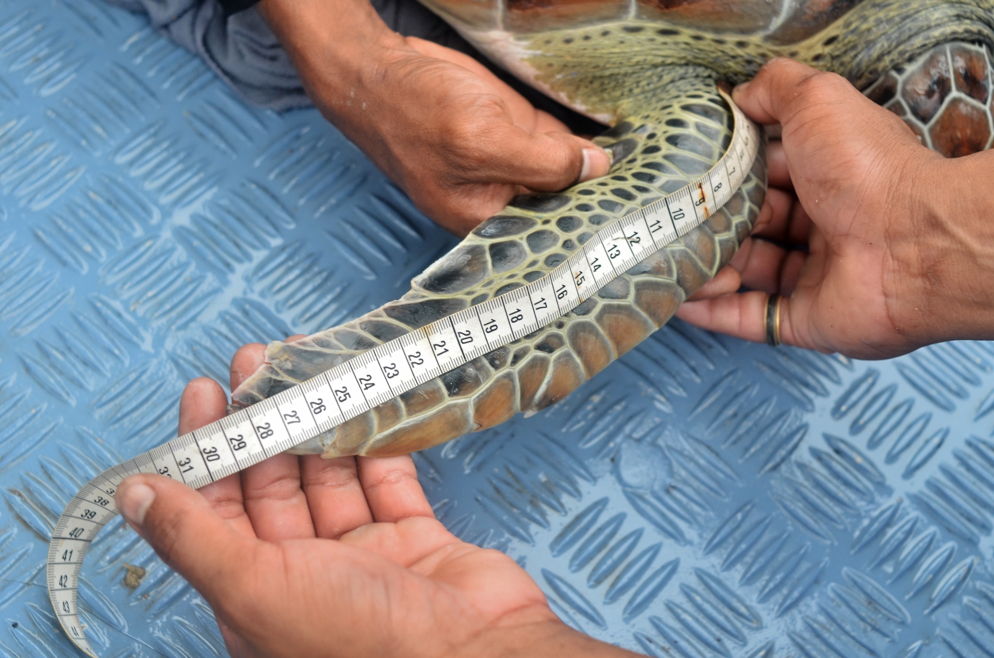 MJP_6783 (2000x1325)