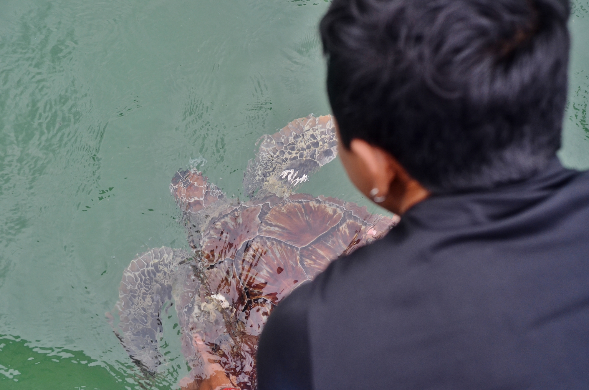 MJP_6794 (2000x1325)