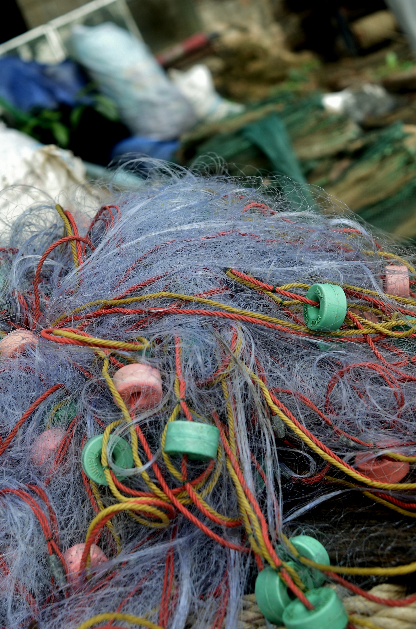 MJP_6971 (1325x2000)