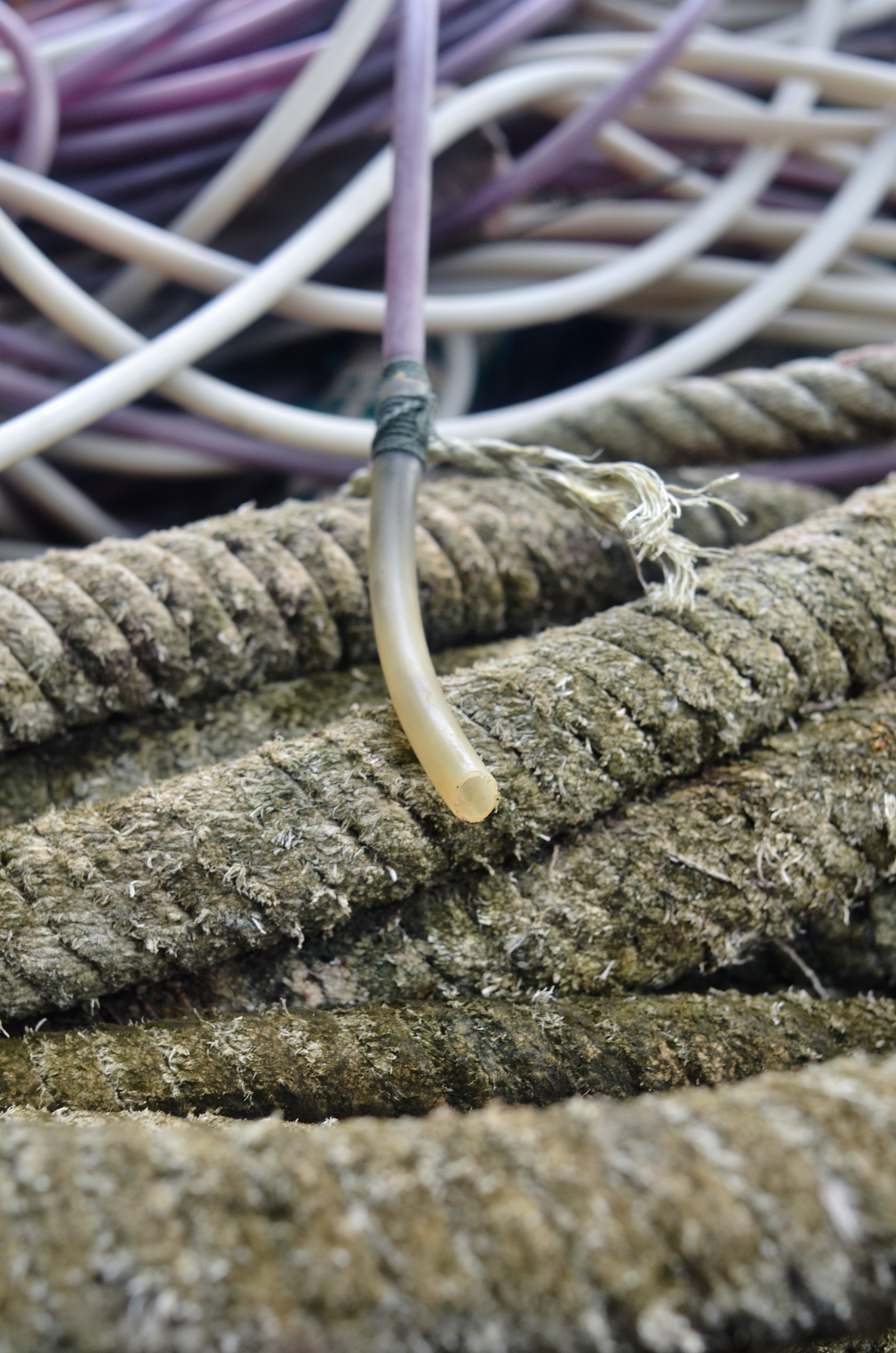 MJP_6985 (1325x2000)