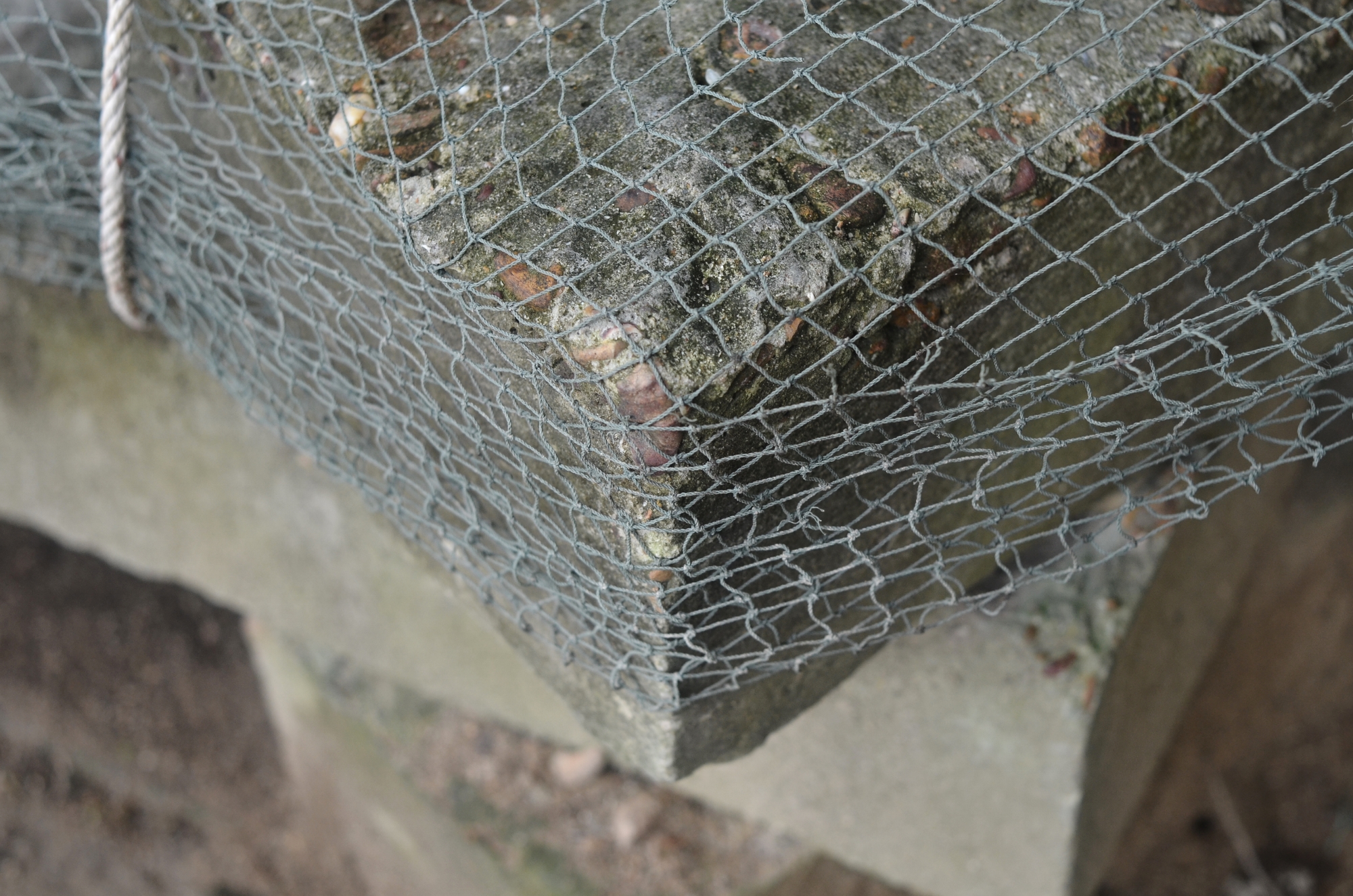 MJP_7015 (2000x1325)