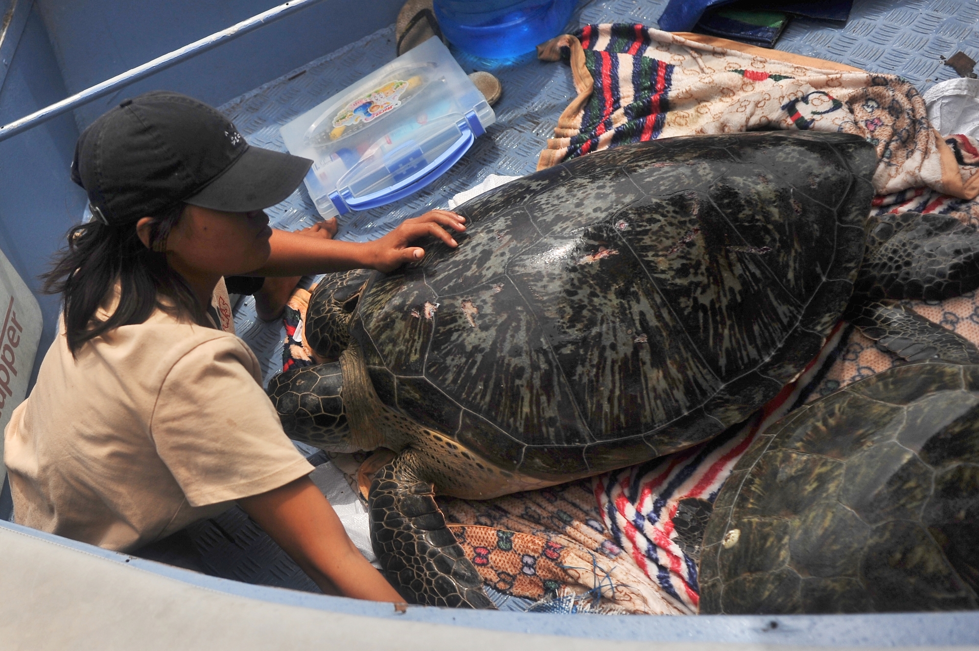 Rachana (11) (2000x1330)