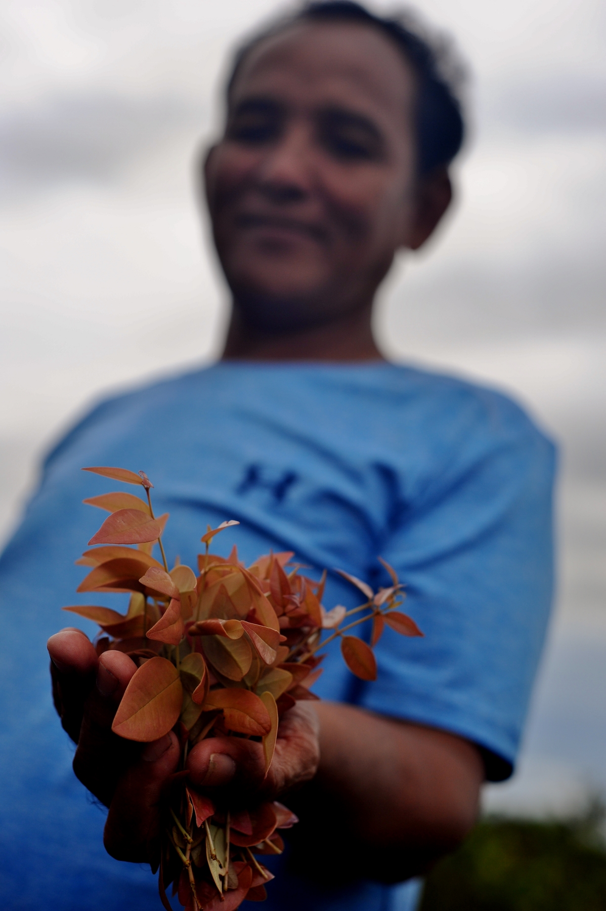 edible-forest-products-1198x1800-1