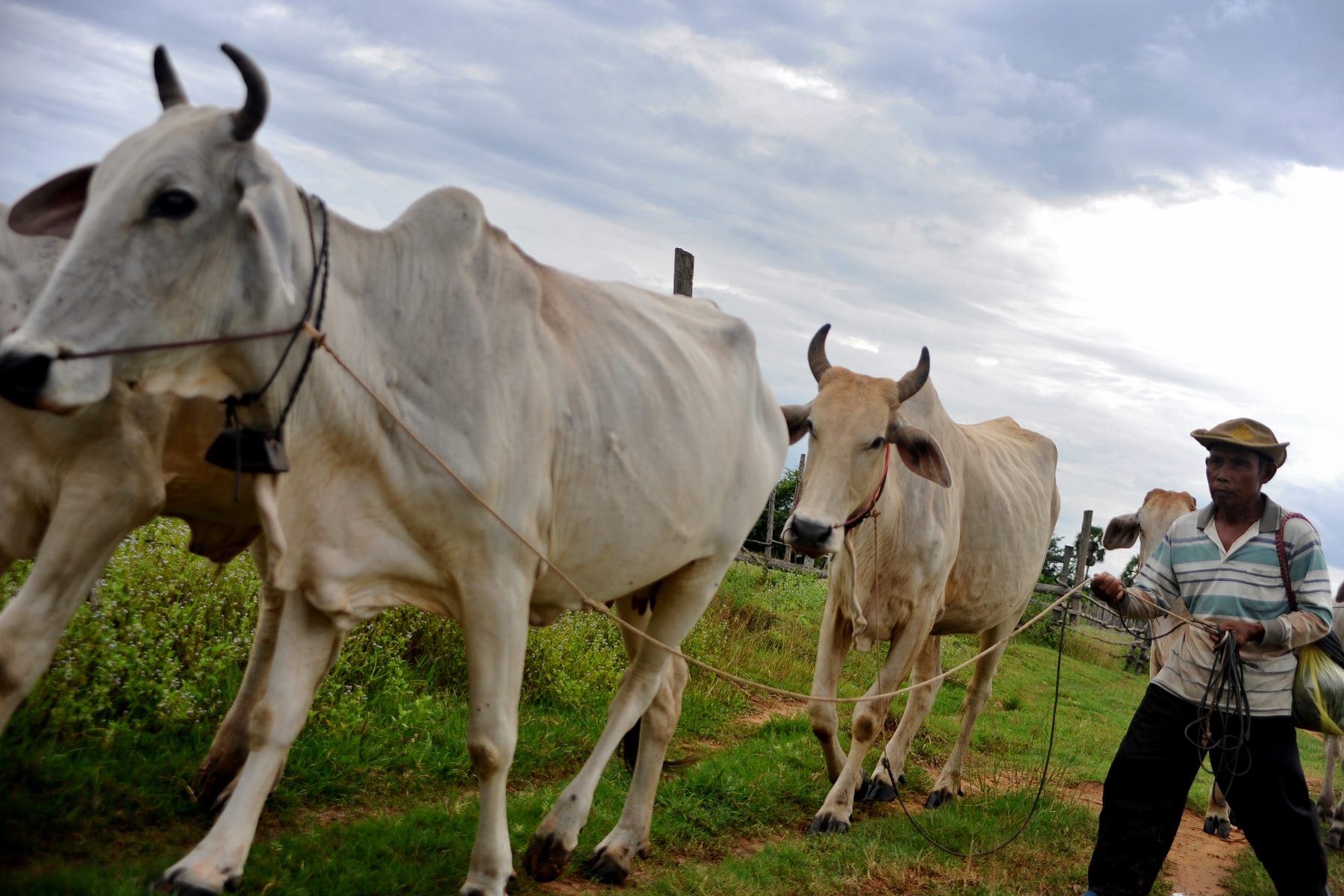 mjp_6649-1800x1200-1