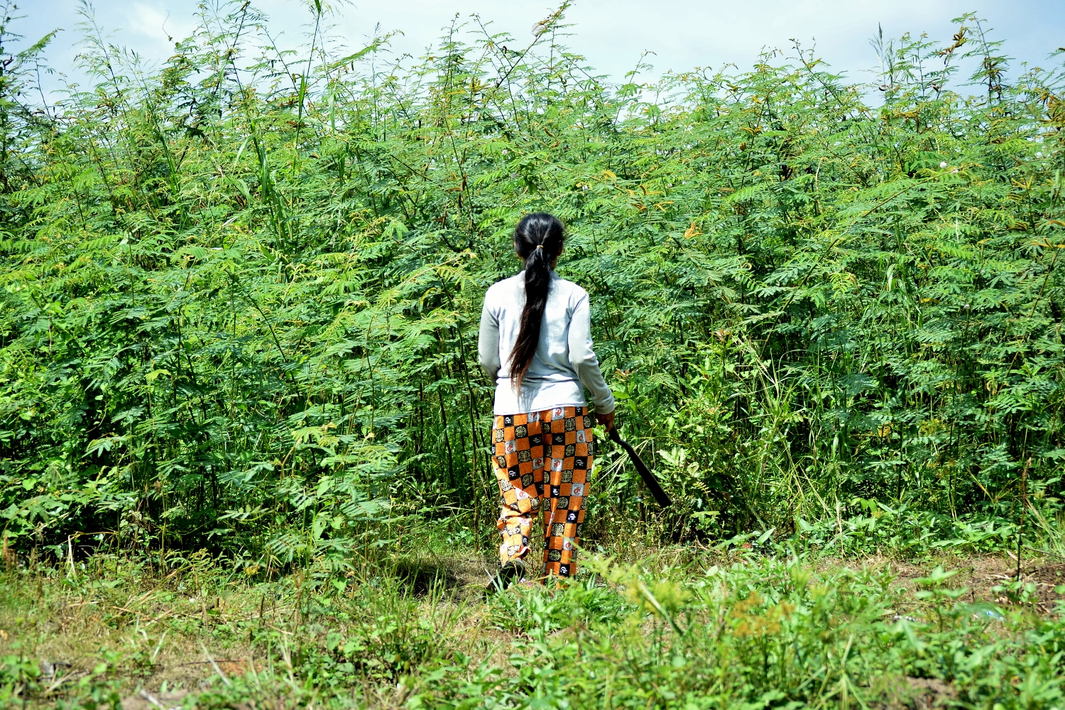 mjp_8378-1500x1001-1