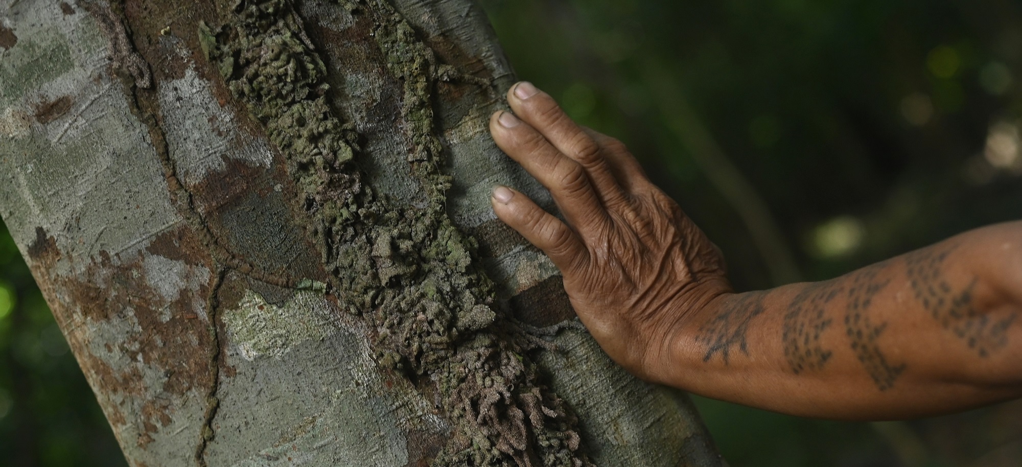 miguel jeronimo photography